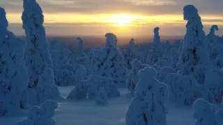 Zázračná planéta: Zelená planéta (3/5)