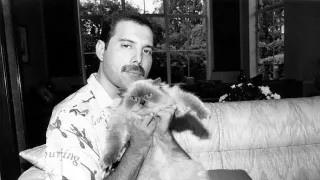 Freddie Mercury: Příběh