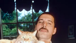 Freddie Mercury: Příběh