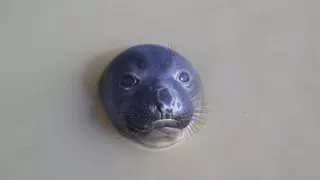 Planeta Kalifornie (2/2)