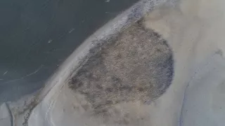 Planeta Kalifornie (2/2)