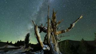 Planeta Kalifornie (2/2)