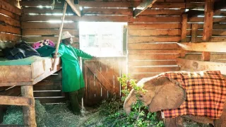 Dokonalá planéta (5/5)