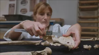 Etruskové, tajomná stredomorská civilizácia