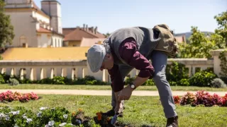 Stopy Járu Cimrmana (5/6)