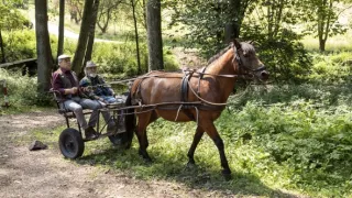 Stopy Járu Cimrmana (5/6)