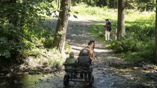 Stopy Járu Cimrmana (5/6)