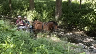 Stopy Járu Cimrmana (5/6)