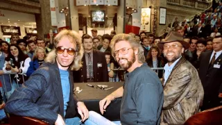 Bee Gees: bratři v zajetí hudby