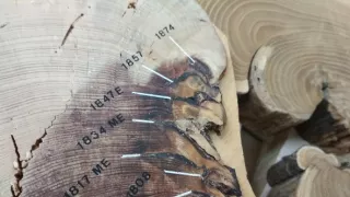 Obrovské požiare (2/2)