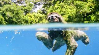 Zem - Deň na zázračnej planéte