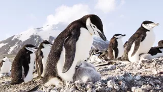 Zem - Deň na zázračnej planéte