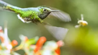 Zem - Deň na zázračnej planéte