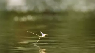 Zem - Deň na zázračnej planéte