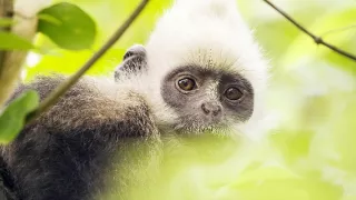 Zem - Deň na zázračnej planéte