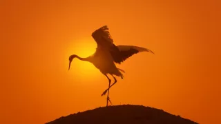 Zem - Deň na zázračnej planéte