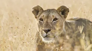 Zem - Deň na zázračnej planéte