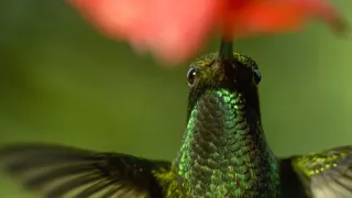 Zem - Deň na zázračnej planéte