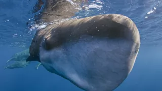 Zem - Deň na zázračnej planéte