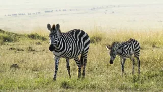 Zem - Deň na zázračnej planéte