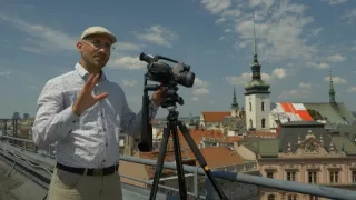 Zasaďme sa o stromy