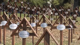 V osídlach veľmocí