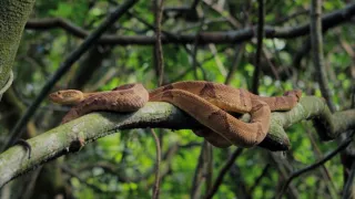 Ochrana a zbrane v prírode