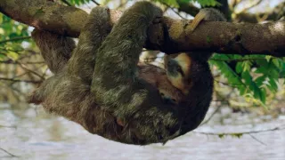 Ochrana a zbrane v prírode