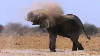 Ochrana a zbrane v prírode