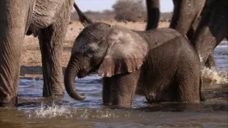 Ochrana a zbrane v prírode