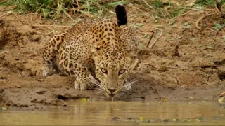 Ochrana a zbrane v prírode