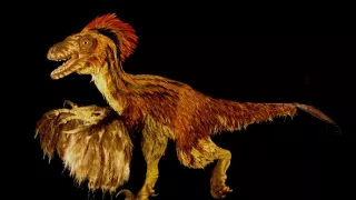 Ochrana a zbrane v prírode