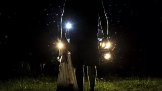 Krajty, nelegální obchody s exotickými zvířaty