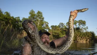 Krajty, nelegální obchody s exotickými zvířaty