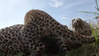 Zázračná planeta: Serengeti III (6/6)