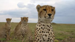 Zázračná planeta: Serengeti III (6/6)