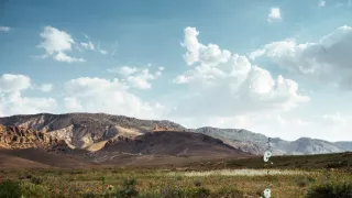 Anjeli zo Sindžáru