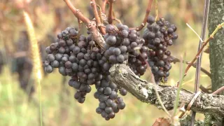 Objavovanie sveta II