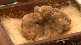 Objavovanie sveta II