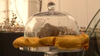 Objavovanie sveta II