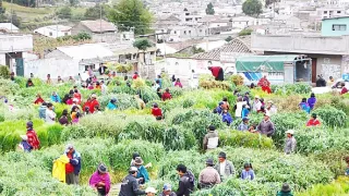 Objavovanie sveta II