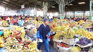 Objavovanie sveta II