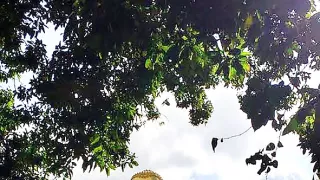 Objavovanie sveta II