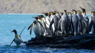 Sedm světů, jedna planeta (7)