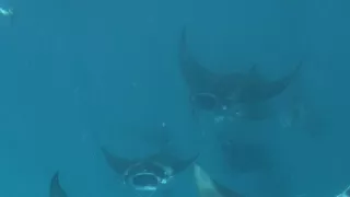 Rok na planetě Zemi (6/6)