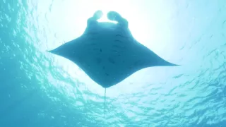 Rok na planetě Zemi (6/6)