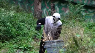 Rok na planetě Zemi (6/6)