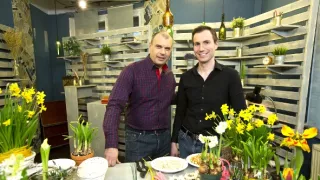 Rady ptáka Loskutáka (796)