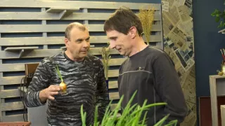 Rady ptáka Loskutáka (796)