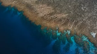 Neuveriteľné premeny Francúzska